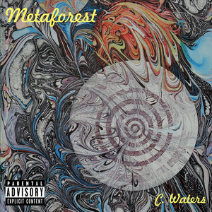 Metaforest (Explicit)