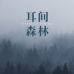 不再说永远 (Remix)