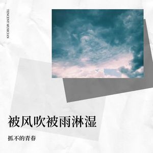 过往成云烟封面