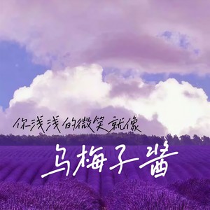 你浅浅的微笑就像乌梅子酱