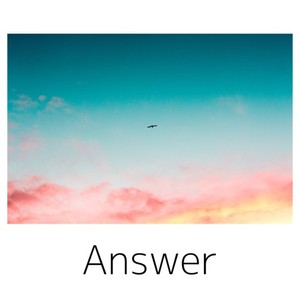 Answer