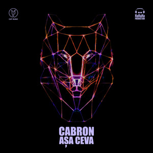 Asa ceva