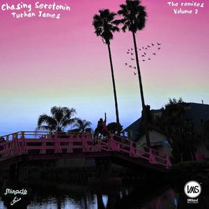 Chasing Serotonin (feat. neendhelp & aag) (neendhelp & aag Remix)