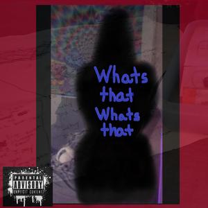 Whatsthatwhatsthat (Explicit)