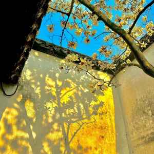 我知道（分开的理由我们都已接受）