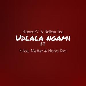 Udlala ngami (feat. Nellow Tee,Killow Metter & Nana rsa)