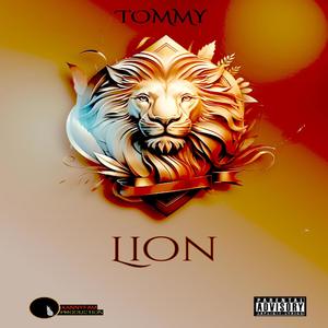 LION (Explicit)