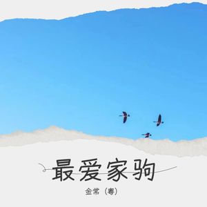 谁伴我闯荡 (Live)