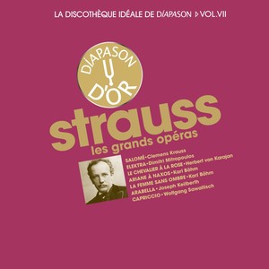 La femme sans ombre, Op. 65, TrV 234, Acte II - 