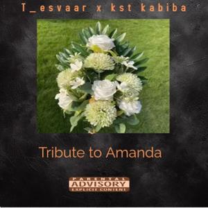Tribute to Amanda (feat. Kst kabiba)