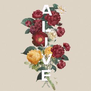 You Keep On Getting Better(feat. Emily Martin) (Live)