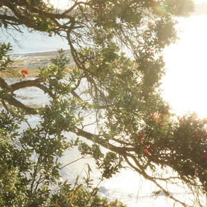 lose (feat. kayd...)