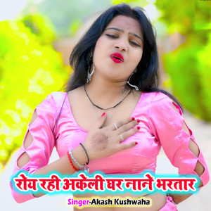Roy Rahi Akeli Ghar Nane Bhartar