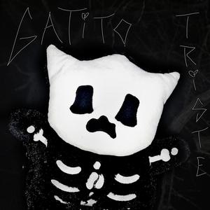 #gatitotriste (feat. Sm1l3tr1p)