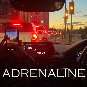 SILVA x SN - Adrenaline (AUDIO) [Explicit]