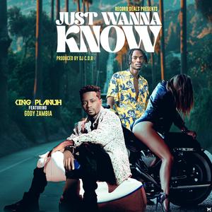 Just wanna know (feat. Goddy Zambia)