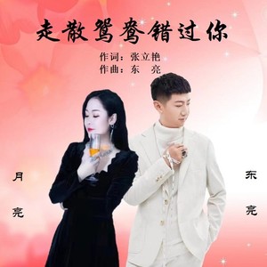 走散鸳鸯错过你 (伴奏)