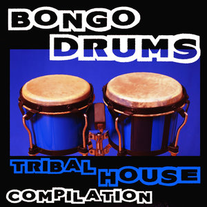 Bongo Drums - Tribal House Compilation