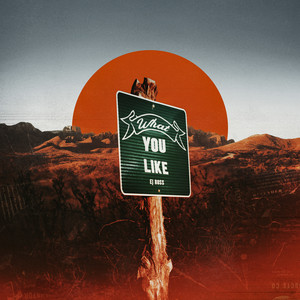 What You Like