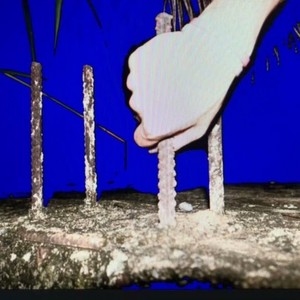 你信号满格却打不开我的网页