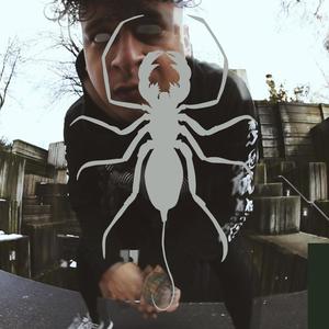concussion cradle songs (Explicit)