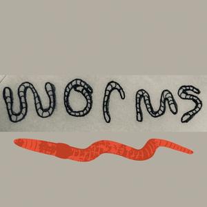 Worms