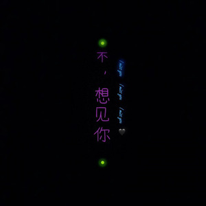 不,想见你