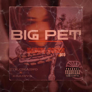 BIG PETpro (feat Brainyo) [Explicit]