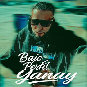 Bajo Perfil