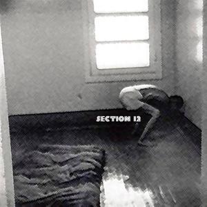 Section 12 (feat. detrimental) [Explicit]