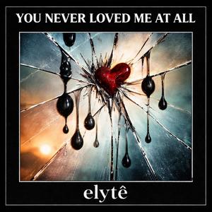 You Never Loved Me At All