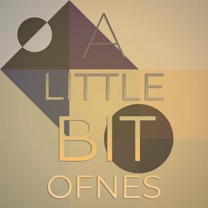 A Little Bit Ofnes