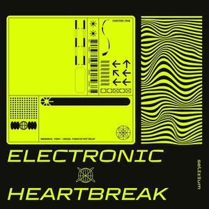 Electronic Heartbreak