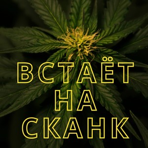 Встаёт на сканк (Explicit)