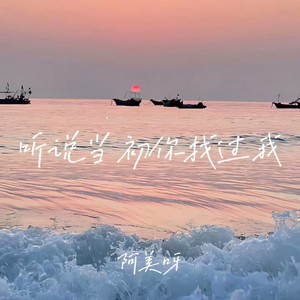 听说当初你找过我-阿美呀