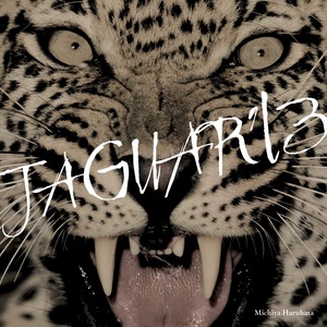 JAGUAR '13