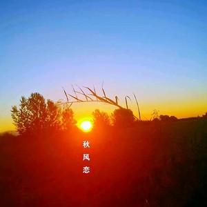 秋风恋 (女声版)