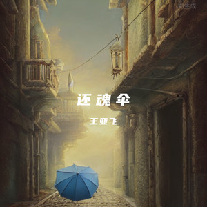 还魂伞封面