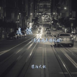 遗憾 (别再说是谁的错)