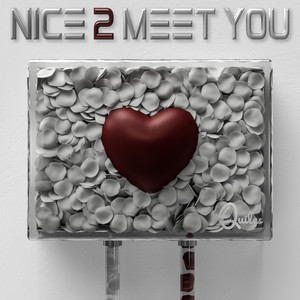 Nice 2 Meet You