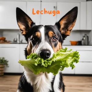 Lechuga (Explicit)