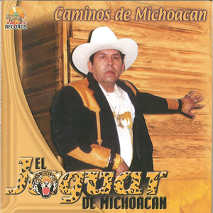 Caminos De Michoacan