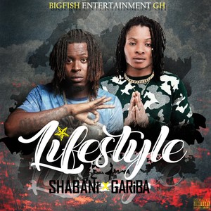 LifeStyle (Explicit)