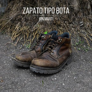 Zapato Tipo Bota