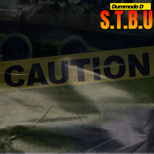 S.T.B.U (Explicit)