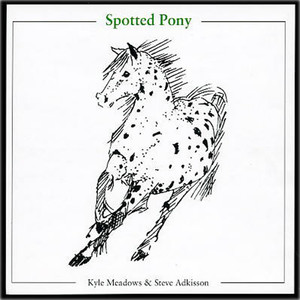 Spotted Pony