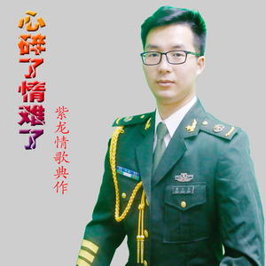 心碎了情难了 (伴奏)