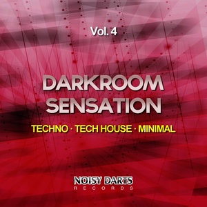 Darkroom Sensation, Vol. 4(Techno - Tech House - Minimal)