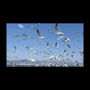 干了黑怕这碗酒