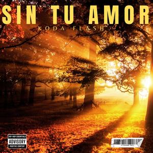 Sin Tu Amor